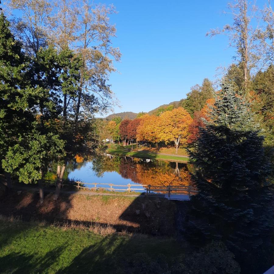 Haus Schmitten Winterberg Dış mekan fotoğraf